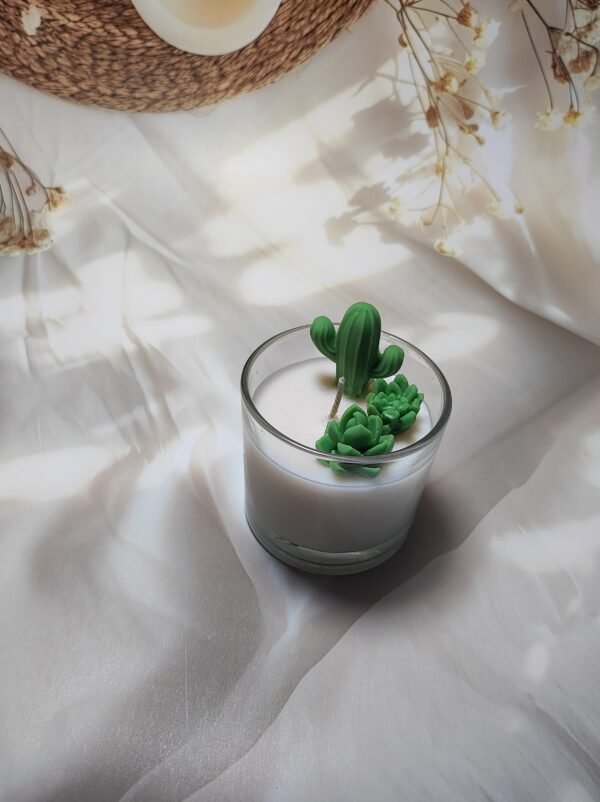 cactus 2 Jar candle with green cactus