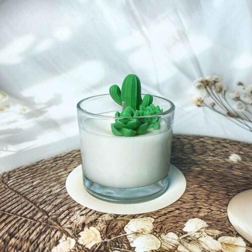 Jar candle with green cactus