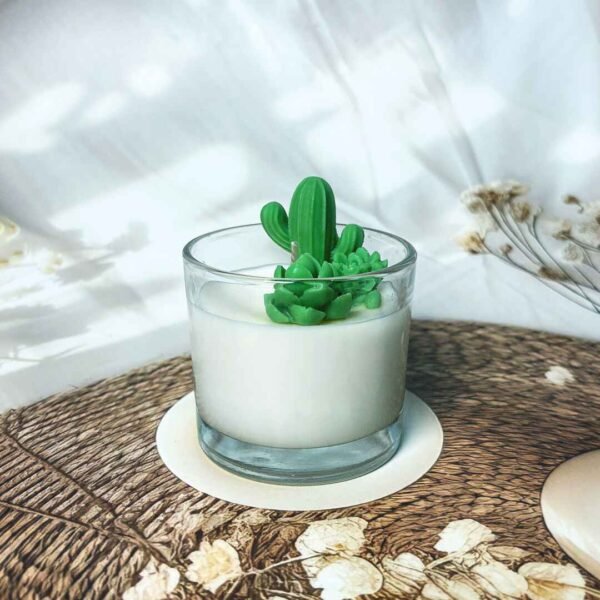 cactus jar Jar candle with green cactus