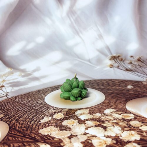 green cactus candle