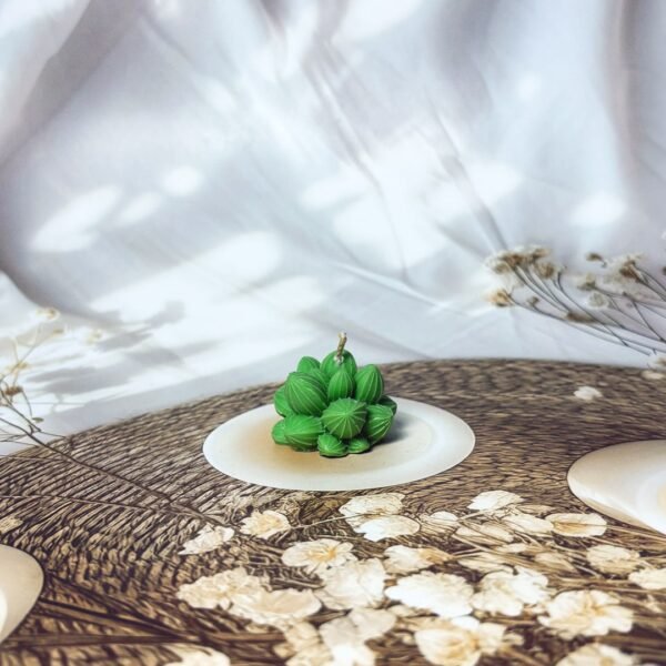 mini green cactus n green cactus candle
